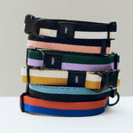 HAY Dogs Collar Flat.jpg