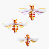 honey-bees.jpeg