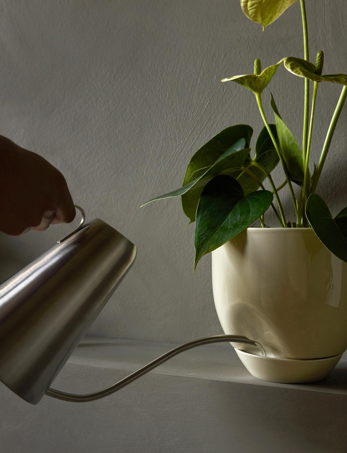 MENU_Hydrous_Planter_Hydrous_Watering_Can.jpg