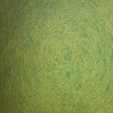Grass / RAL9441