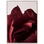 Plakat PEONIA 03 50x70