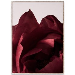 Plakat PEONIA 03 50x70