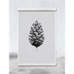 Plakat NATURE 1:1 PINE CONE grey---