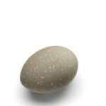 Stytta egg keramik DECO 6cm 2/pk sand