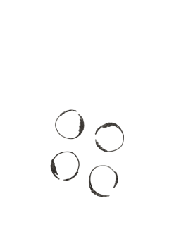 Servíettuhringur HOLLY LEAF 4/pk black