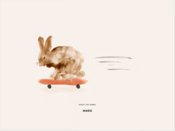 Plakat ROCKY THE RABBIT 50x70