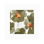 Servíettur VALSSI green