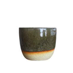 Bolli BINTA Americano