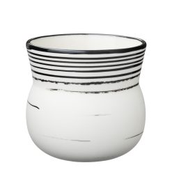 Bolli ÞOKAN svartur