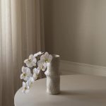 Botané gerviblóm ORCHID Large White