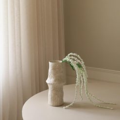 Botané gerviblóm AMARANTHUS White