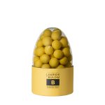 Lakkríspáskaegg B PASSION FRUIT470gr