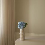 Botané gerviblóm HYDRANGEA Light Blue