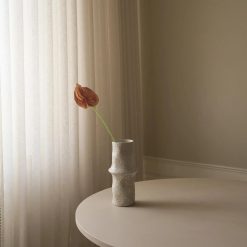 Botané gerviblóm ANTHURIUM Small Rose