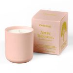 Ilmkerti AZTEC TUBEROSE 130g