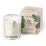 Ilmkerti BOTANICAL FIG LEAF 70g