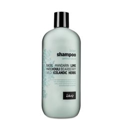 BLÆR Sjampó 500ml