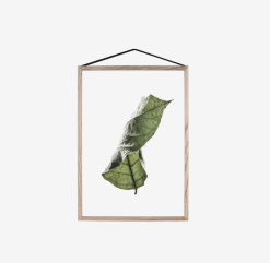 Plakat A3 FLOATING LEAVES 04---