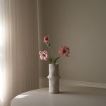 Botané gerviblóm ANEMONE Pink
