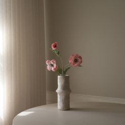 Botané gerviblóm ANEMONE Pink