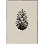 Plakat NATURE 1:1 Pine Cone sand---