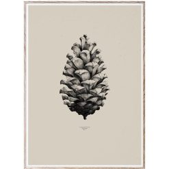 Plakat NATURE 1:1 Pine Cone sand---
