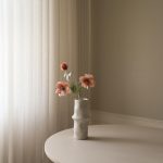 Botané gerviblóm ANEMONE Champagne
