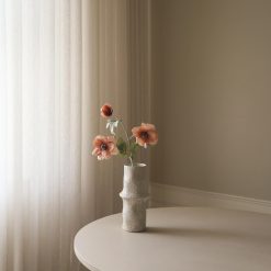 Botané gerviblóm ANEMONE Champagne